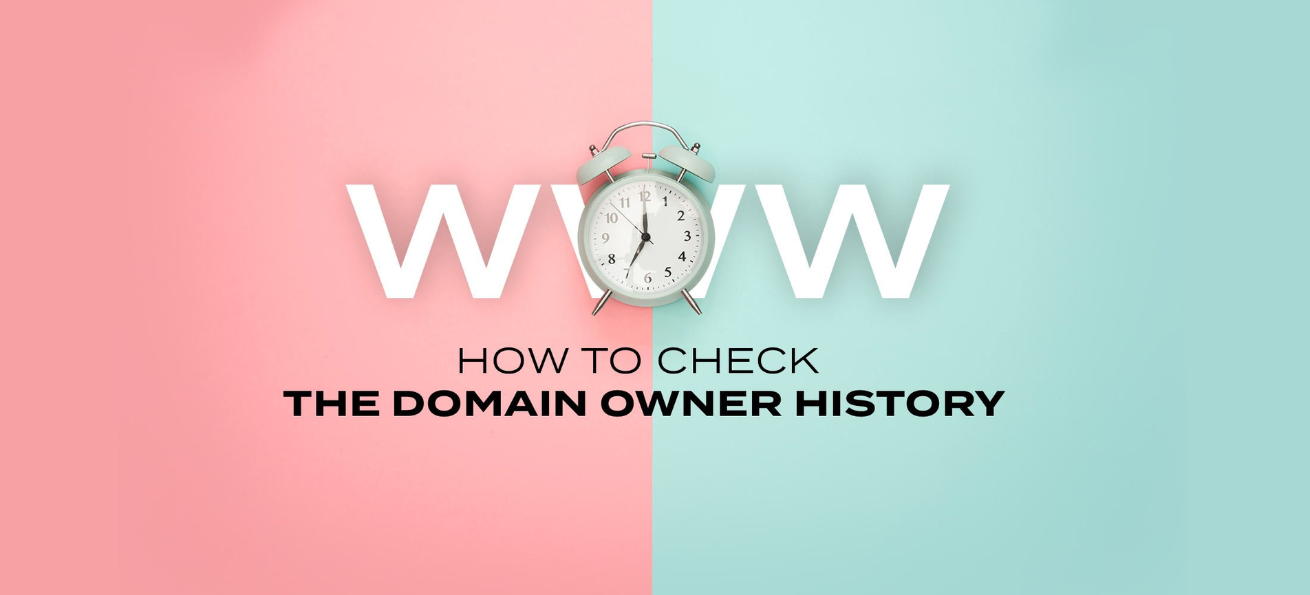 Whois History: How to Check the Domain Owner History.