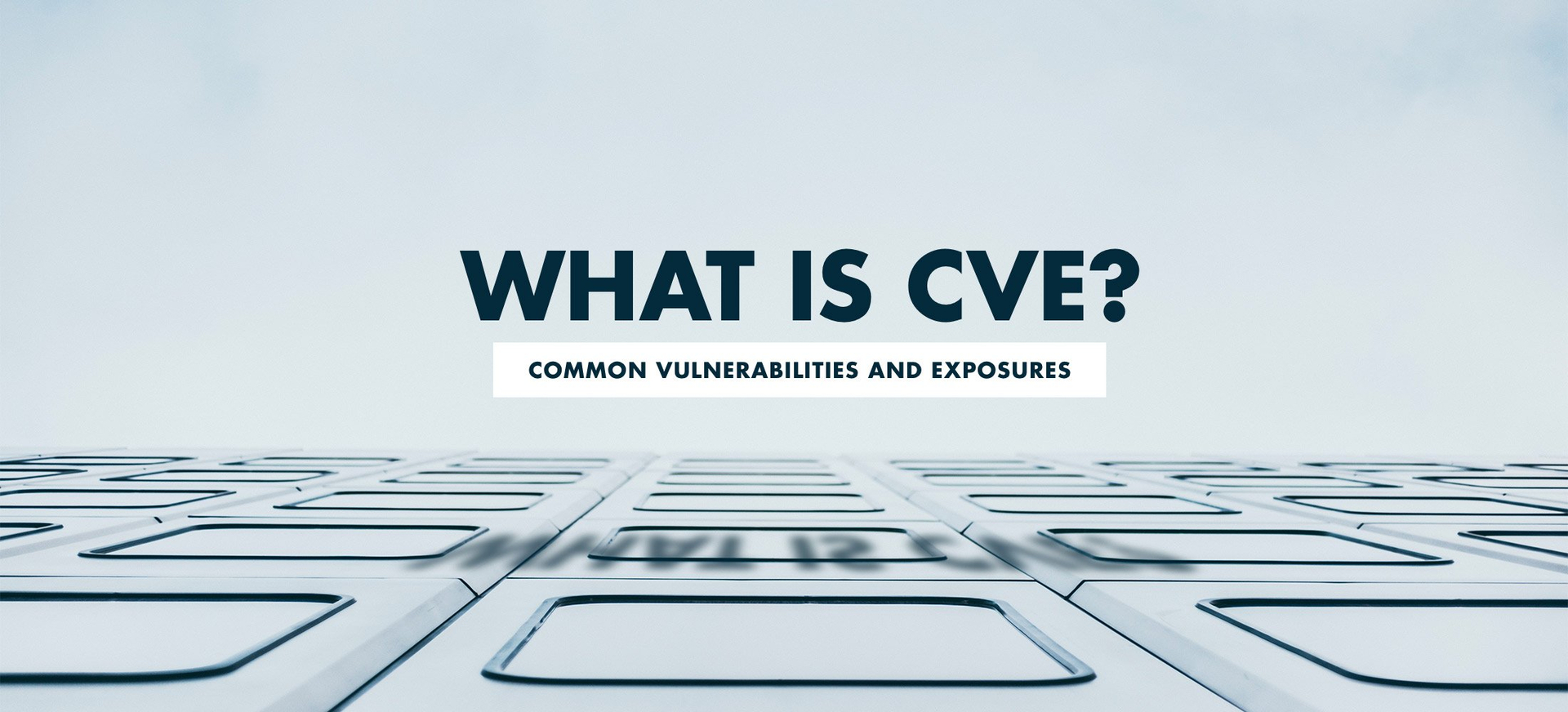 Who developed CVE?