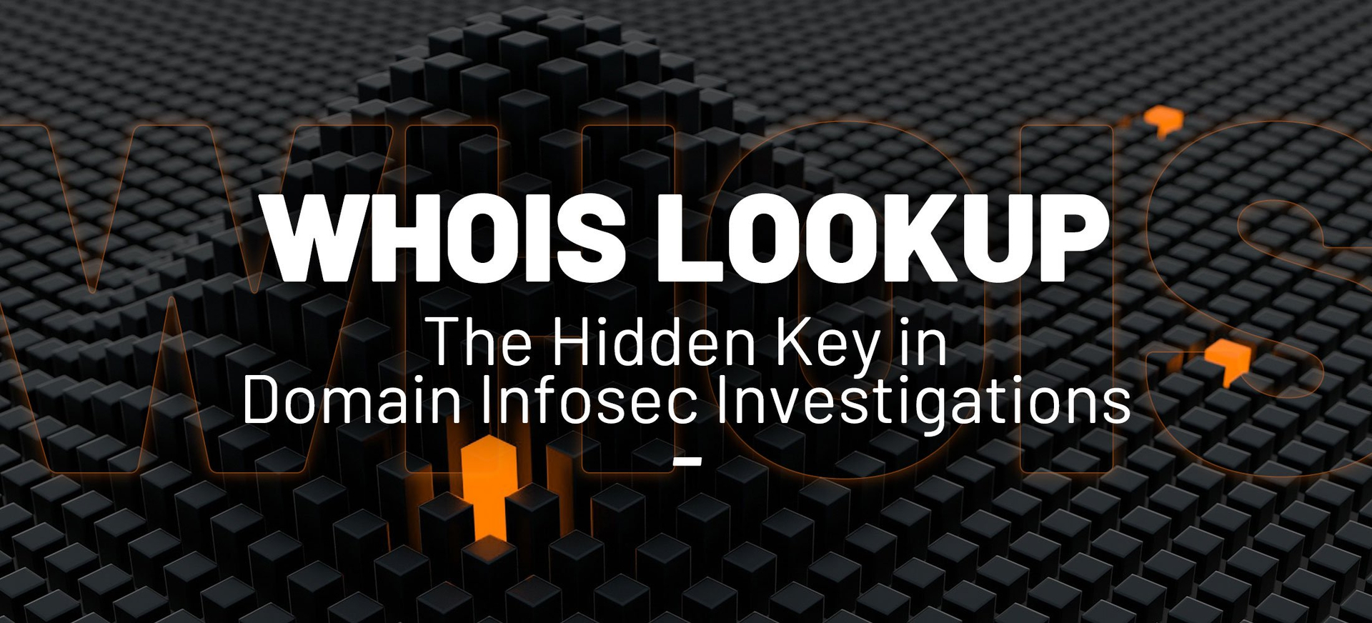 What You Can Find Out from a WHOIS IP Search