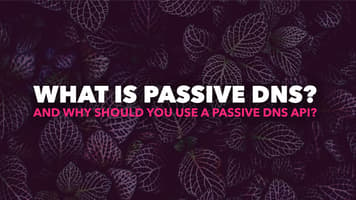 What is Passive DNS? And Why Should You Use a Passive DNS API?