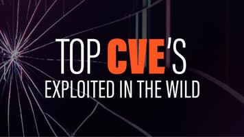 Top CVE's exploited in the wild