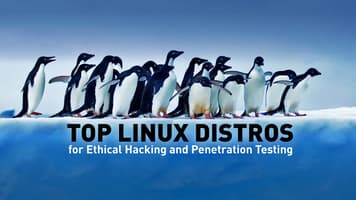 Top Linux Distros for Ethical Hacking and Penetration Testing