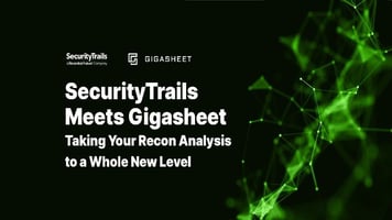 SecurityTrails Meets Gigasheet: Taking Your Recon Analysis to a Whole New Level