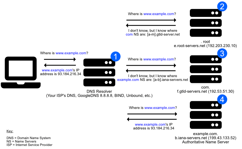 Different phases in a DNS query