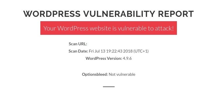 WPScans Wordpress vulnerability scan report issues