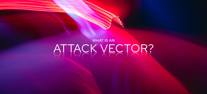 What is an Attack Vector?